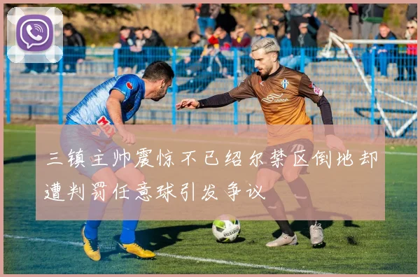 三镇主帅震惊不已绍尔禁区倒地却遭判罚任意球引发争议